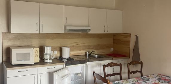 Location Appartement 2 pièces 33m² LE FOUSSERET 31430 - Photo 2