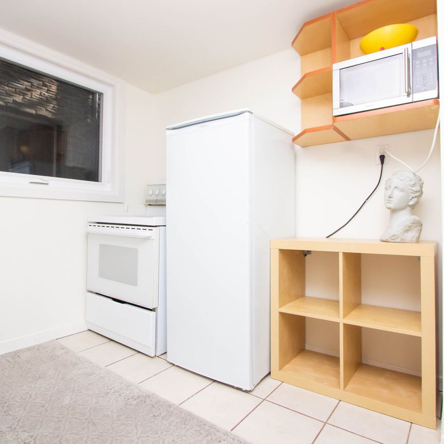 For Lease - 234 Robert Hicks (Lower) Drive, Toronto, Ontario - Photo 1