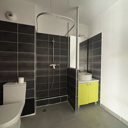 Location Appartement 1 pièce 22m² CASTELNAU LE LEZ 34170 - Photo 3