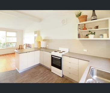 300 High Street, Belmont, Vic 3216 - Photo 6