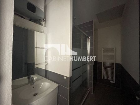 Location Appartement 1 pièce 40m² ST ETIENNE 42000 - Photo 4