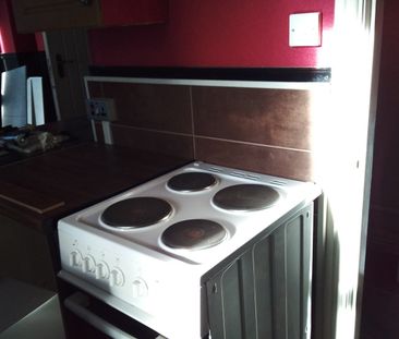 Studio Flat, Roman Terrace, LS8 - Photo 3