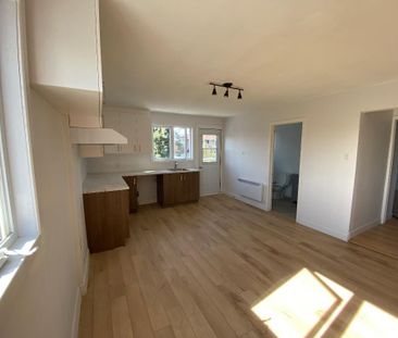 Beau 4 1\2 rénové - Photo 1
