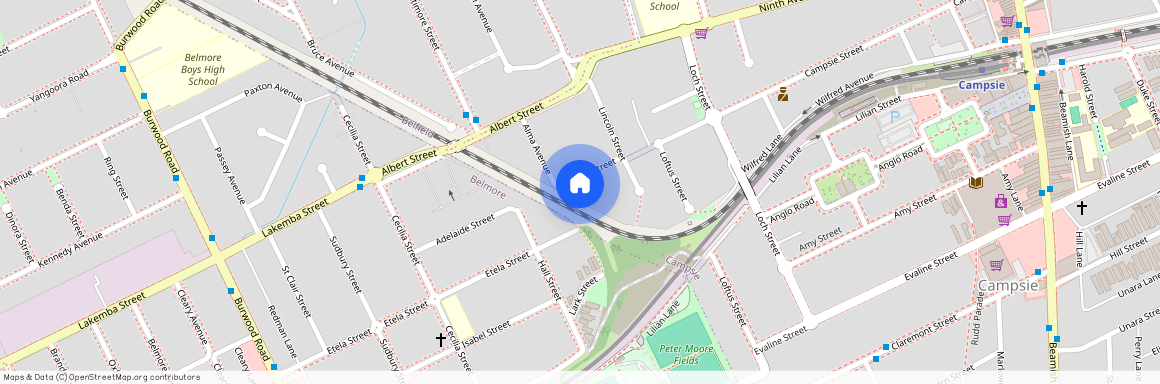 118 Campsie St, NSW 2194