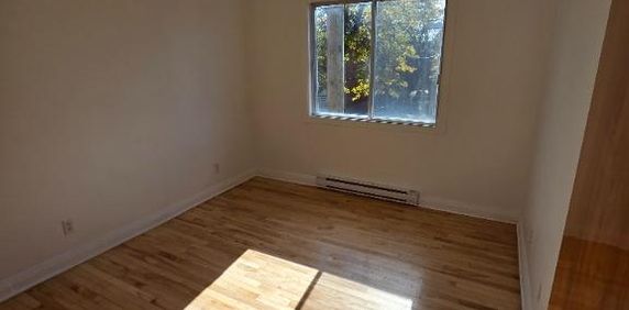 🏡✨ 3 ½ À LOUER – FRAÎCHEMENT RÉNOVÉ ! ✨🏡 - Photo 2