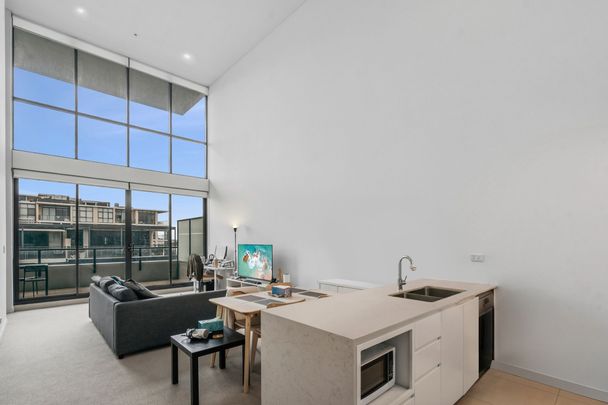 1005/20 Nancarrow Avenue, Meadowbank NSW 2114 - Apartment For Rent | Domain - Photo 1