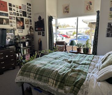 6 Allen Street, North East Valley - Photo 5
