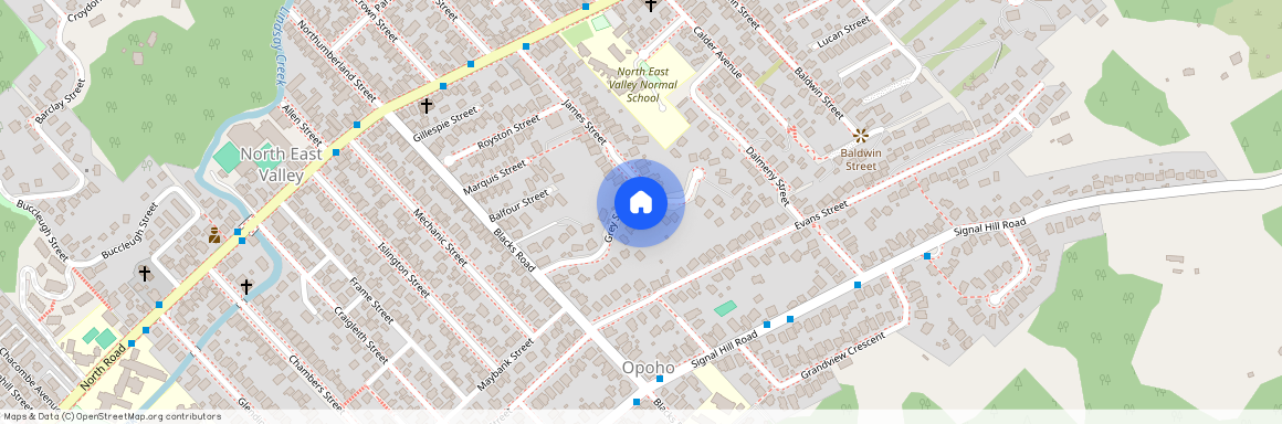 34 Grey Street, North East Valley, Dunedin City