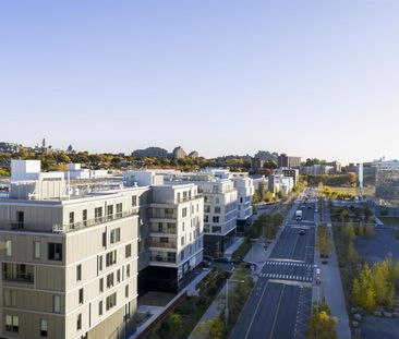 Studio - 1250 Avenue Thérèse-Lavoie-Roux, Outremont - Photo 3