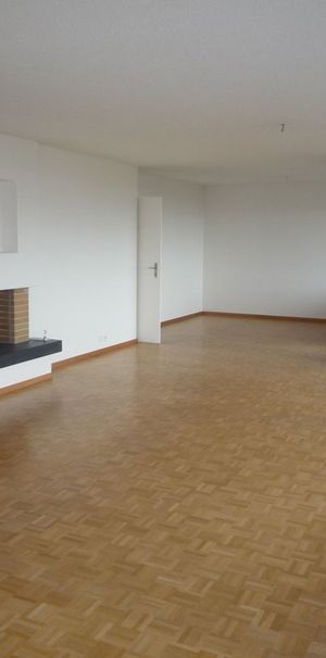 MIETEN OHNE KAUTION - Geniessen Sie die riesige Terrasse mit Seesicht - Photo 1