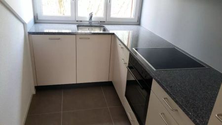 BERNE OSTRING - GIACOMETTISTR. 25 - 2.5 PIECE DANS LES COMBLES / 2.5 ZIMMER - DACHWOHNUNG - Foto 3