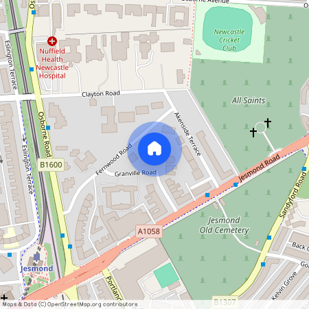 20, Granville Road. (East Lower), Jesmond, Newcastle Upon Tyne, NE2 1TP