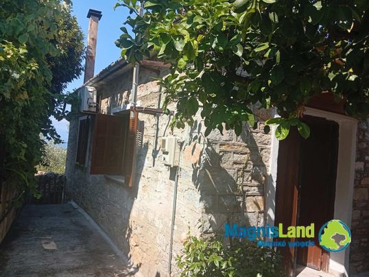 Μονοκατοικία για ενοικίαση Άνω Λεχώνια (Αρτέμιδα) - Photo 1