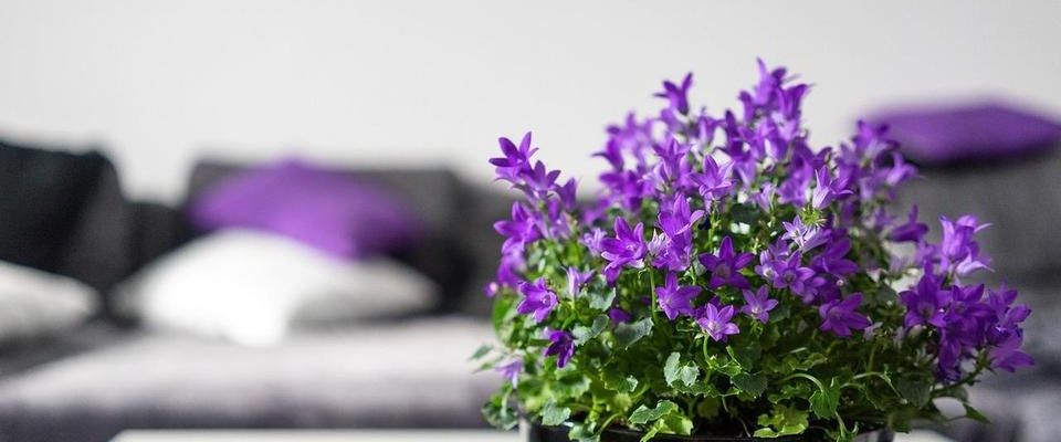 IHR GEMÜTLICHES ZUHAUSE ! Schnuckelige 2-Zi-Whg, WF 51 m², Chiemsee & Alpen - Foto 1