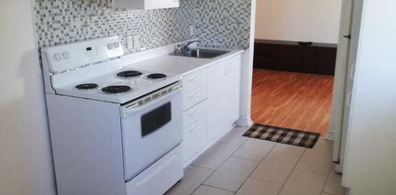 Appartement 3 1/2 à louer 1er décembre Montréal-Nord - Photo 2