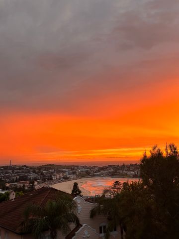 Bondi - Photo 3