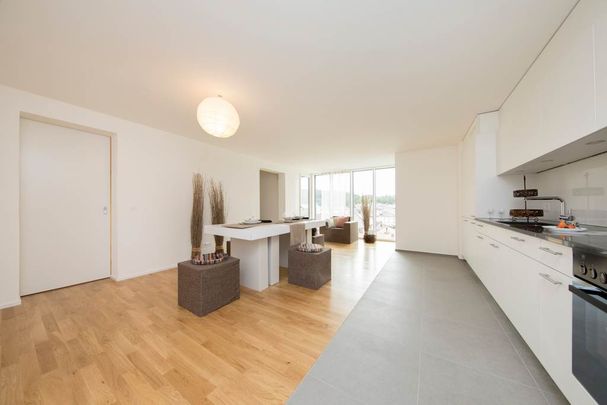 4.5 Zimmer, 108 m², 2. Stock - Photo 1