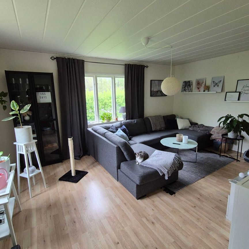 Kantavägen, Orrefors - Photo 1