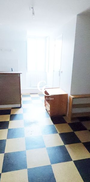 Location Appartement 1 pièce 22m² NANTES 44000 - Photo 1