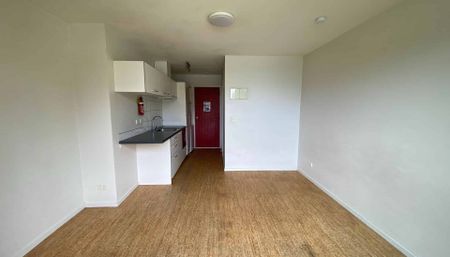 Frankton Studio - Photo 3