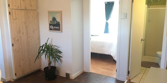 4 1/2 Meublé, équipé TOUT Inclus - Photo 3