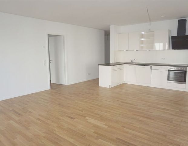 Trier: Wohnen an der Mosel – moderne 3 ZKB Erdgeschosswohnung mit Einbauküche und Terrasse - Foto 1