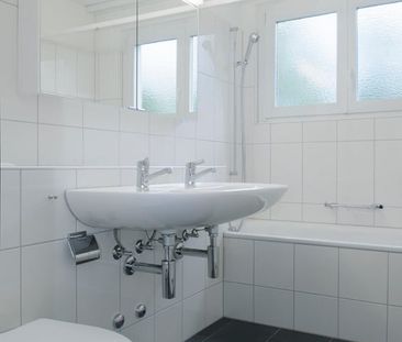 "Greifensee: Das Naherholungsgebiet" - Photo 2