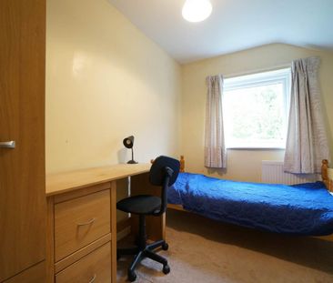 20 Treflan - Photo 6