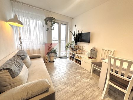 Mieszkanie | Wynajem - Photo 3