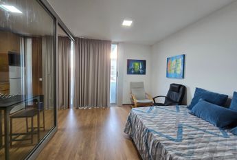 Furnished and equipped T0 flat next to Wisteria!