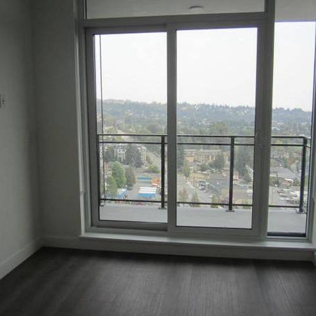 Gorgeous, bright 1 BR Suite with dramatic views @ LOMA / Coquitlam - Photo 3