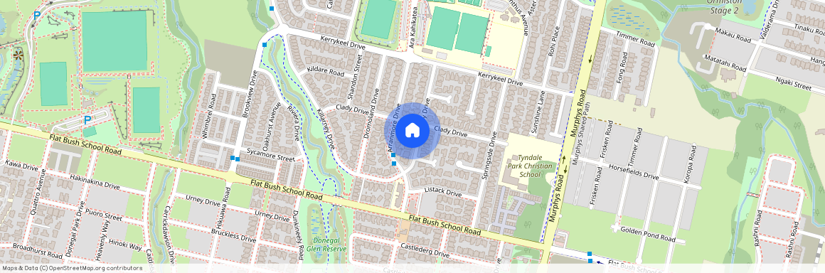 10 Coolaghy Drive, Flat Bush, Manukau City