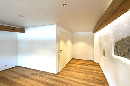 Zentral, luxuriös, neu renoviert mit grossem Balkon und Aussicht - Foto 3