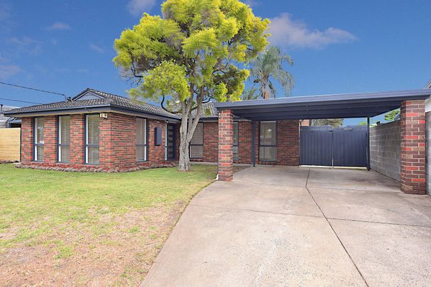 Fully Renovated 3-Bedroom Family Home with Pool & Entertaining Area - Photo 1