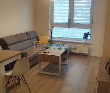 Mieszkanie 40m2 na wynajem, garaż, komórka,ogródek - Photo 3