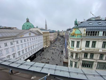 Exklusive 3-Zimmer-DG-Wohnung am Graben in 1010 Wien zu mieten - Photo 3