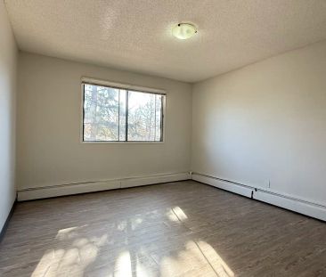 Castleview — Classic 2 Bed 1 Bath - Spacious - HEAT & WATER INCLUDE... - Photo 5
