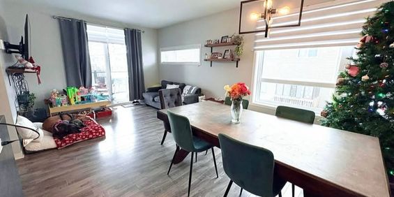 Accepte Les Chiens / Logement Moderne - Photo 3