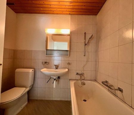 neues Zuhause gesucht? - Foto 4