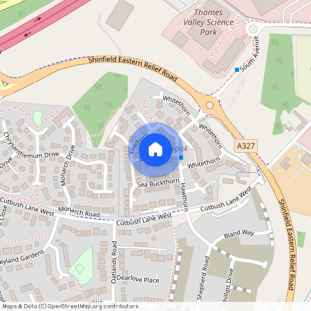 Blackthorn, RG2, Reading