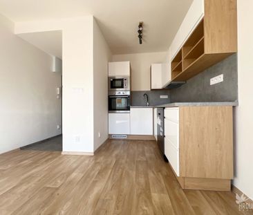 Pronájem bytu 2+kk 40 m², I, Strakonice - Photo 6