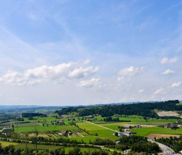 6.5 Zimmer, 260 m², 1. Stock - Foto 3