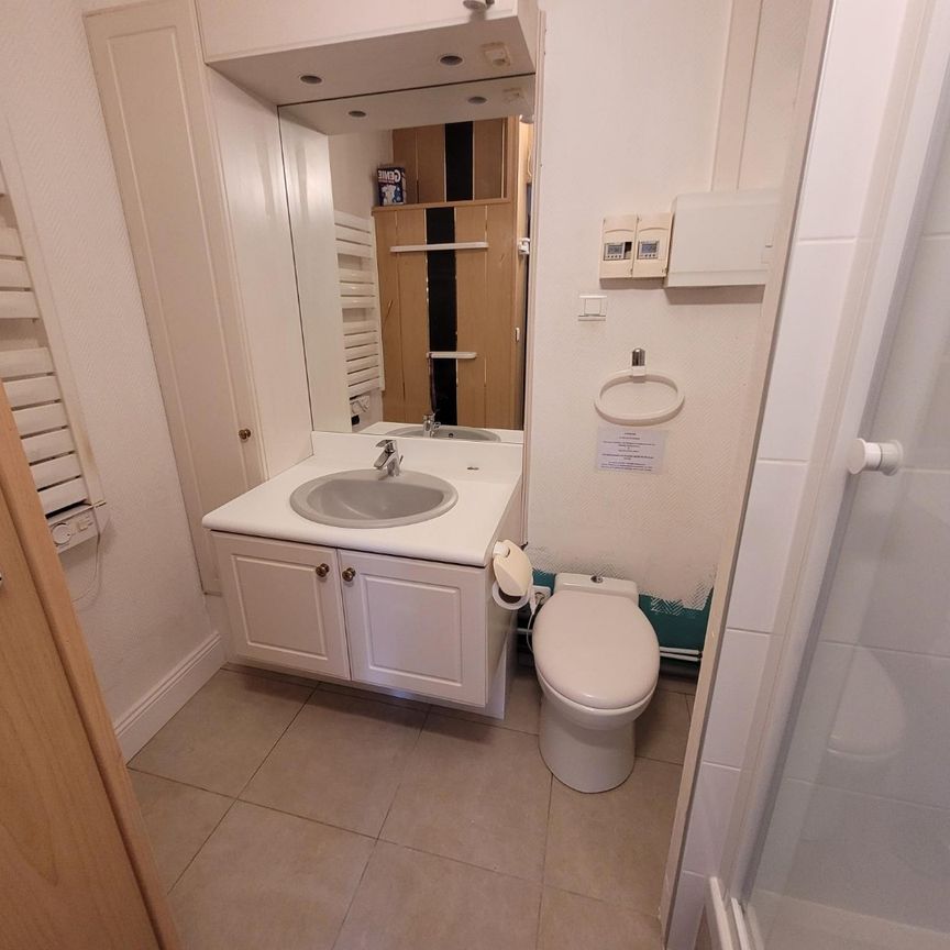 Location Appartement 1 pièce 12m² LILLE 59800 - Photo 1
