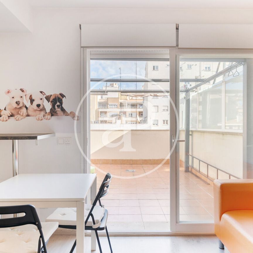 Penthouse for rent in Palma - Photo 1