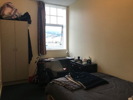 Looking for a flat mate on Anzac Ave- 2026 - Photo 3