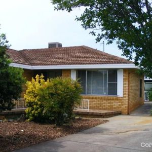 25 Wilburtree Street, Hillvue, NSW 2340 - Photo 3