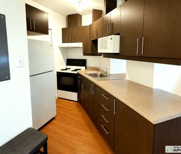 203-49, King Ouest, Sherbrooke (Jacques-Cartier) à louer - Photo 1