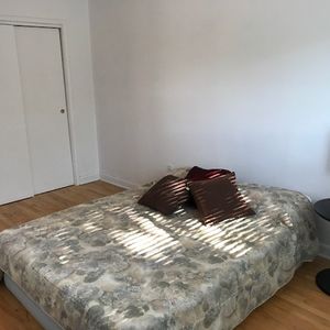 51/2 Ste Foy– Disponible 1er Juillet - Photo 2