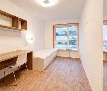 NUR FÜR STUDENTEN - Schönes Zimmer in 3-er Studenten-WG - Foto 1