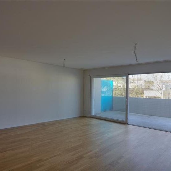 Cozy 2.5-room apartment for rent - Photo 1